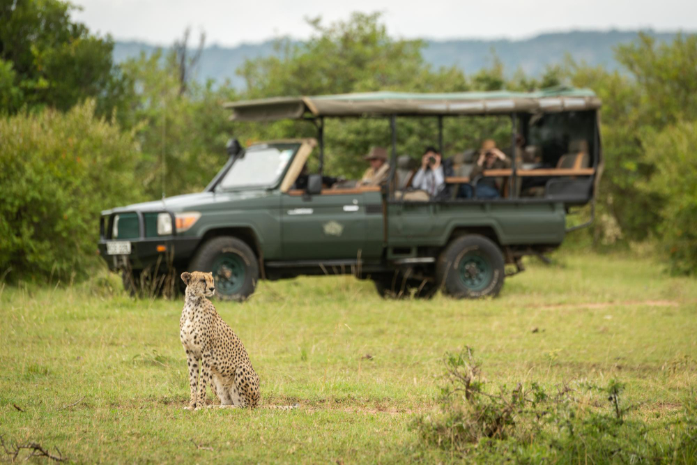 tanzanie