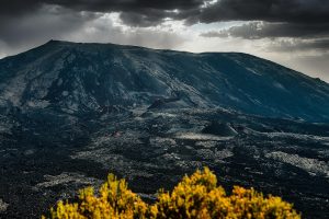 la réunion