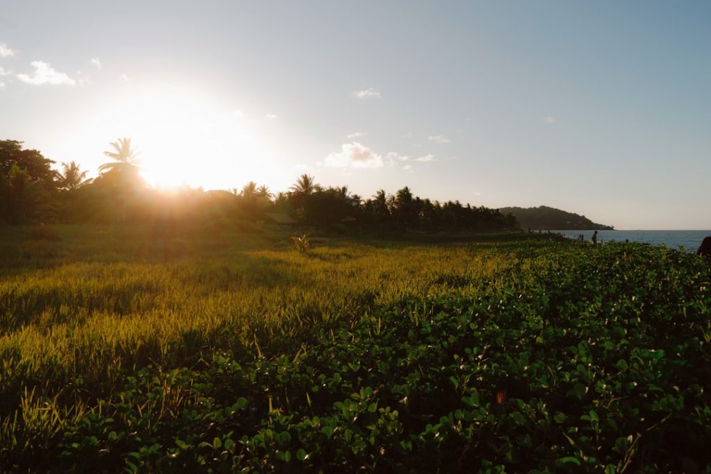 Cartes et plans détaillés de la Guyane