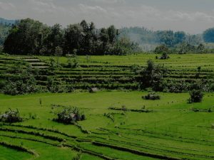 Cartes et plans détaillés de l'Indonésie