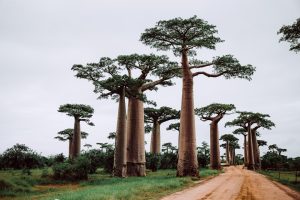 Cartes et plans détaillés de Madagascar