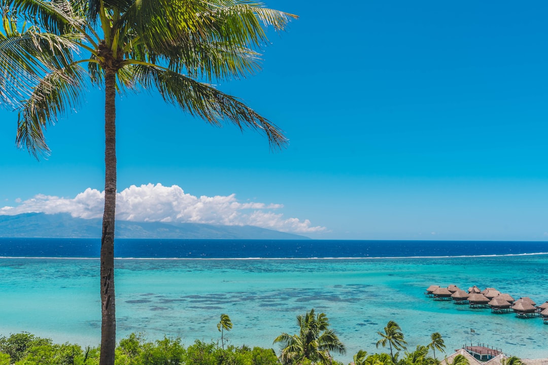 Cartes et plans détaillés de Tahiti